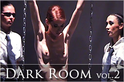 DarkRoomv2Logo_r.jpg