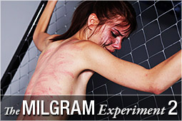 milgram2_logo.jpg